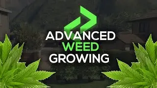 FiveM Weed Growing Script [ESX/QBCore] | Lation Scripts
