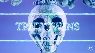 TRNT Twins - Пушим само газ (Official Audio)
