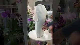 Распаковка 2 орхидей. Часть 2. 