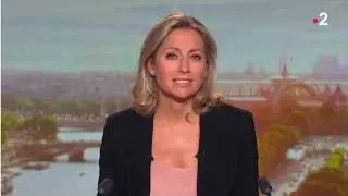 izidore au Journal de 20h sur France 2