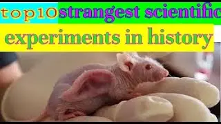 top 10 strangest scientific experiments in history (Is it possible to merge a spider and a goat?)