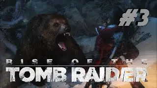 LARA IN THE COLD FOREST | Rise Of The Tomb Raider