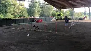 2019.09.15 - Jumping Vauda