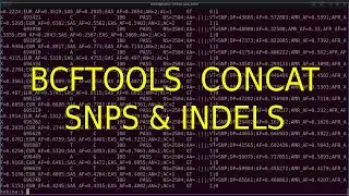 Bcftools concat to Merge VCF files |  SNPS and INDELS