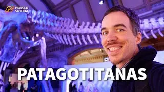 Titanozauras Patagotitanas - vienas didžiausių padarų, kada nors vaikščiojusių mūsų planetoje