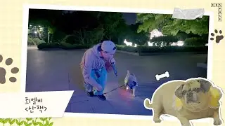 [반려 가족 특집 🐶] 최엘비 - 산책