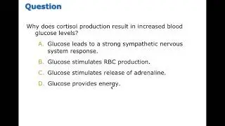 Chapter 09 Stress and Adaptation BIO216