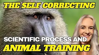 Embracing The Self-Correcting Scientific Process
