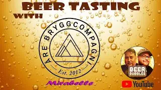 Sour Beer Tasting With Åre Bryggcompagni!🍺(Made with Mirabelle Plums)
