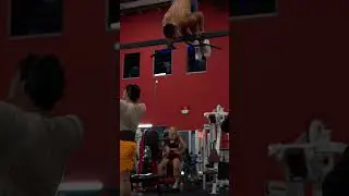 Calisthenics Reactions!