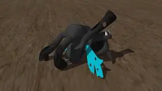 in memory of Felix 2 0