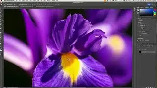 02  Fundamental of Image Size and Resolution 1