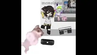 цепочка #мем #кот #рекомендации