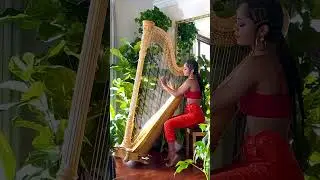 Can We Talk by Madison Calley #music #shorts #youtubeshorts #classical #viral #harp #musician