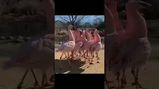 когда с друзьями на суете