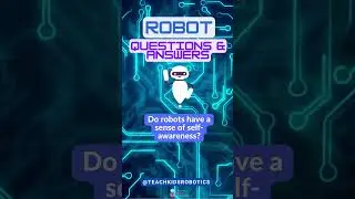 Are robots self-aware?