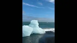 抖音30周度最佳视频 | Video of the week 30-小帽