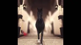 #ssoedit #horse #starstableonlinehorses #edit #horsegame #starstableonlineedit #starstablehorses