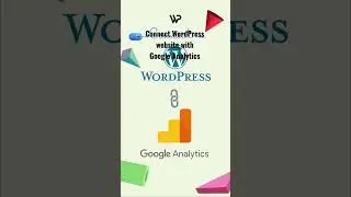 Connect Google Analytics in WordPress under 1minute