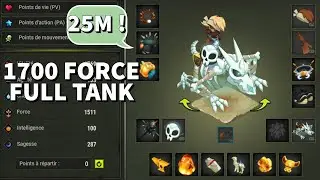 MEILLEUR STUFF TERRE LOW COST DE DOFUS !