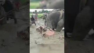 funny video please subscribe