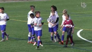 LS TV : Résumé du match AC Bellinzone M12 - Lausanne Foot Académie M12
