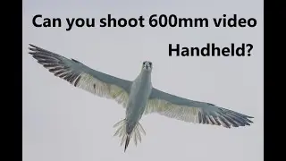 Can you shoot video at 600mm handheld?
