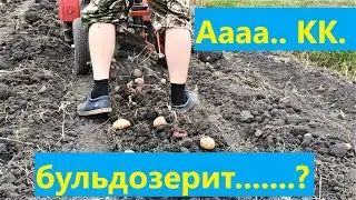 больше не бульдозерит  КК  2020