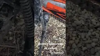 3 января 2024 г.