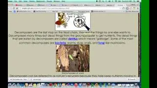 Question 21 Decomposers Living Environment Regents January 2014
