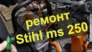 БЕНЗОПИЛА ШТИЛЬ МС 250 замена поршневого кольца и карбюратора