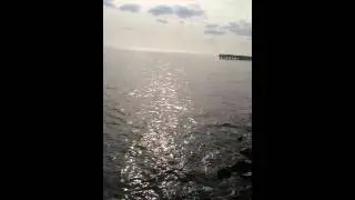 The Sound of The Beach