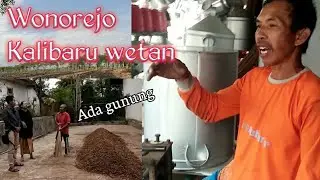 Wonorejo Kali baru wetan // WONGSOKERTO Penelusuran KKN Desa PENARI // Bajidot vlog // MZ KURO