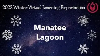 Virtual Learning Experience - Manatee Lagoon