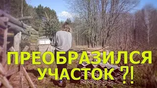 НАВОЖУ ПОРЯДОК НА УЧАСТКЕ / НАЧАЛО ВЕСНЫ / ДОМ В ДЕРЕВНЕ / КУПИЛ ДОМ В ДЕРЕВНЕ