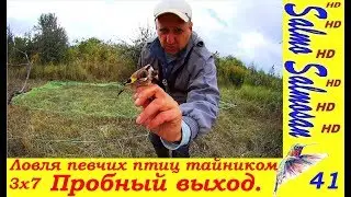 Songbird Cache Catching .3x7 - Trial Outing. Part 41