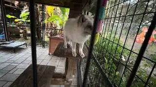 Chatting with Winter this morning! 