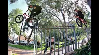 Dylan Steinhardt - Serpent Venom: Tempered Goods X DIG BMX