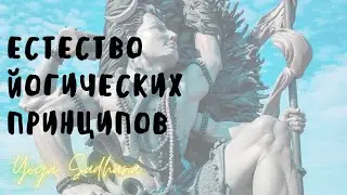 Естество йогических принципов.