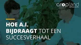 Interview Tim Verheyden - deel 4