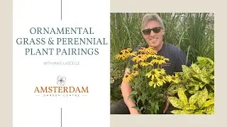 Ornamental Grass & Perennial Plant Pairings