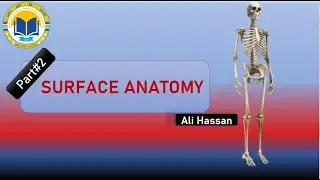 Surface Anatomy|| For Beginners || Part#2||  Pharmacy(Technician) ||  Exams MCQs || By Ali Hassan