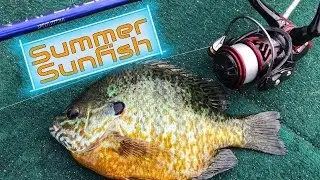 Berkley Gulp 1” Minnow Producing Summer Sunfish
