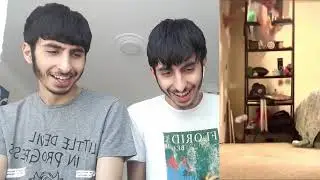 EN İLGİNÇ TİKTOK VİDEOLARI 2!