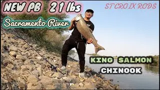EPIC 25min FIGHT! KING SALMON FISHING! PB 21lbs 12lb test line ST CROIX bass rod! sacriver 2020