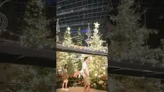 MINI CHRISTMAS VILLAGE IN FLOWER DOME SINGAPORE/SWEDEN TRAIN TRAILS. AMAZING!