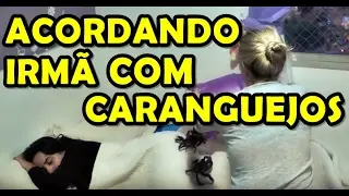MELHOR TROLAGEM EM 2016 - CARANGUEJO - Irmãs Trolls Pithon
