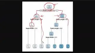CART Tree Basics