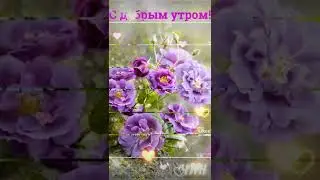 С добрым утром! Самого лучшего дня!