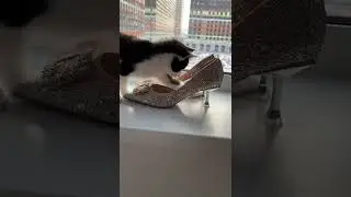Новогодние туфли с#алиэкспресс